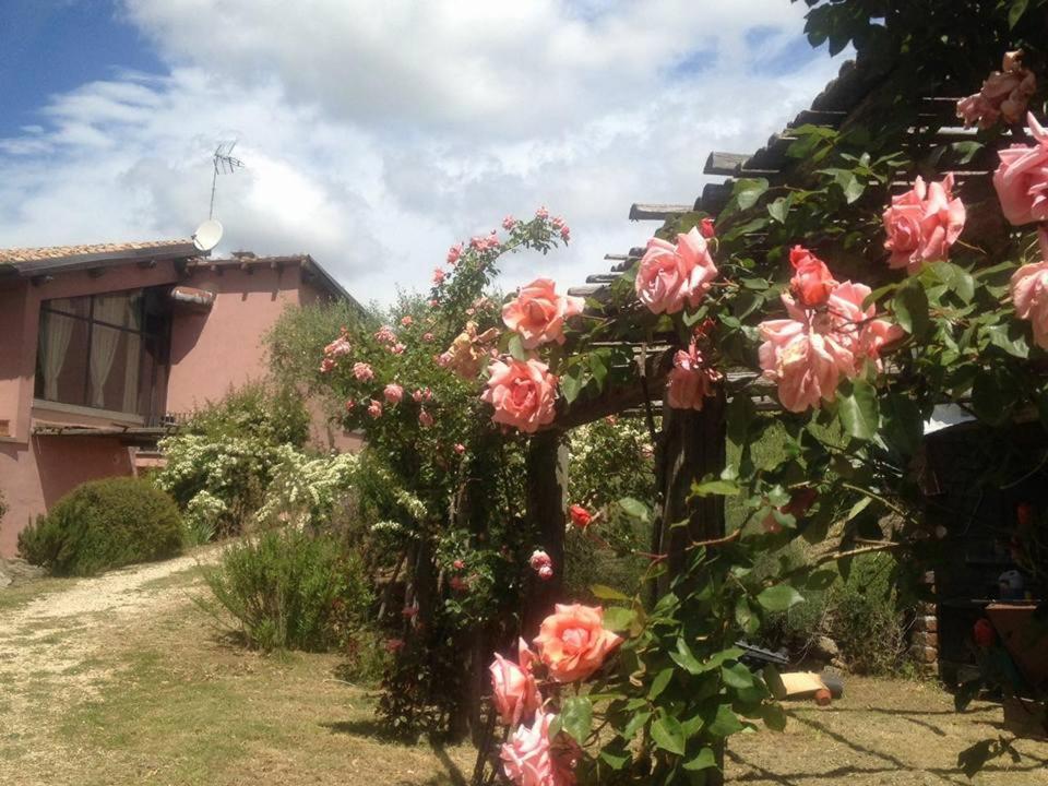 Bed and Breakfast La Chiesuola Bagnaia  Exterior foto