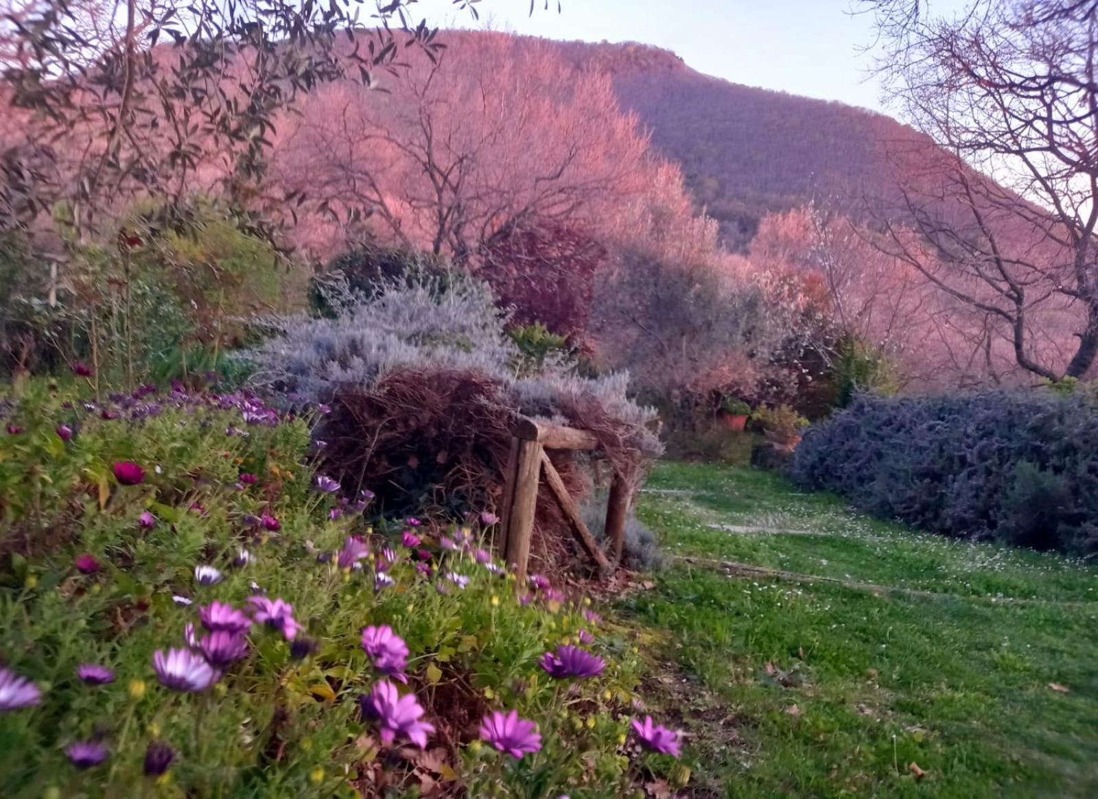 Bed and Breakfast La Chiesuola Bagnaia  Exterior foto